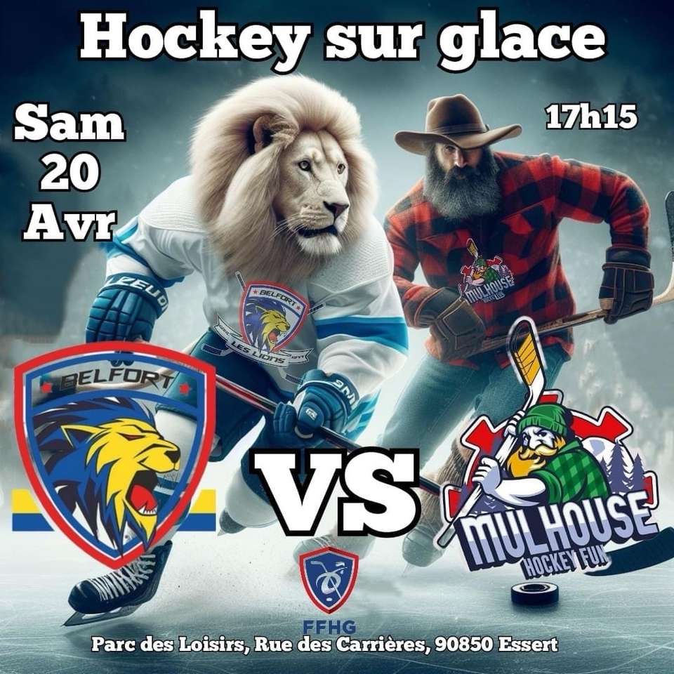 Hockey Fun Belfort Vs Mulhouse 