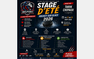 Stage d'été 2026