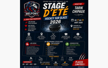 Stage d'été 2026